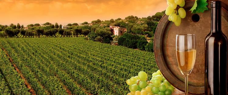 Enogastronomia sulle strade del Taurasi