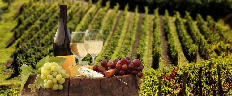 Enoturismo in Italia, ecco i dati del 2016