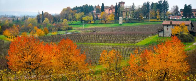 Il vino della Venezia Giulia