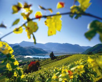 L'accoglienza in Alto Adige per gli amanti del vino
