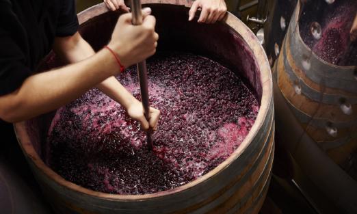 Cos'è il mosto d'uva