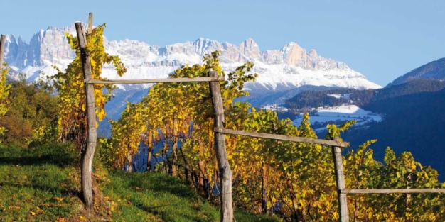 Il Lagrein in Alto Adige