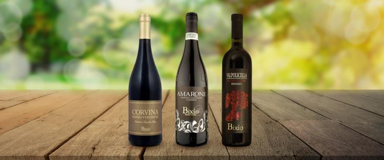 Caratteristiche dell' Amarone, il vino della Valpolicella