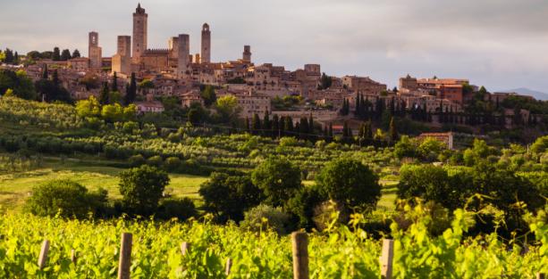 La Vernaccia di San Gimignano ha compiuto mezzo secolo