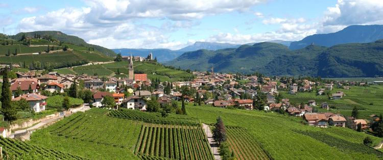 Il Lagrein e il suo vino: i nuovi studi