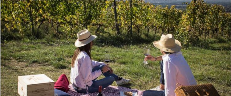 Lungarotti: enoturismo e cultura binomio per ripartenza. Sabato 20 giugno riapre Museo del Vino di Torgiano
