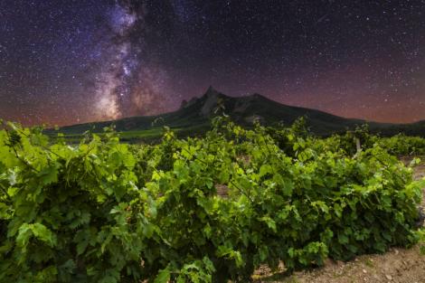 Perché si sceglie il vino biodinamico