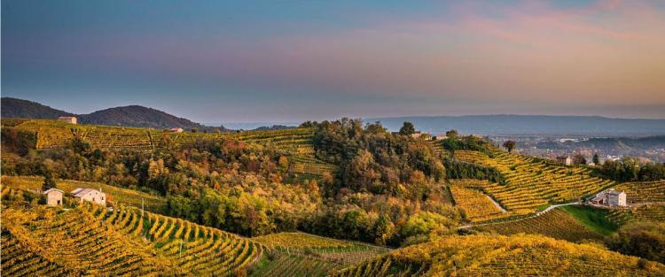La Strada del Prosecco