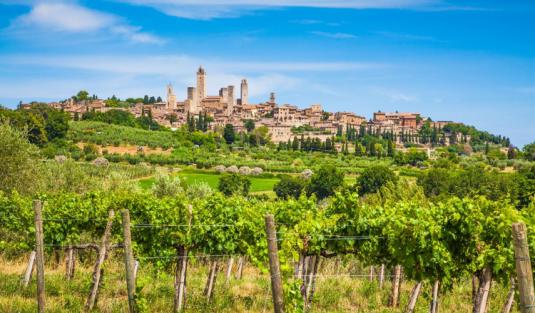 Vernaccia di San Gimignano. 1276-2016: il suo lungo viaggio