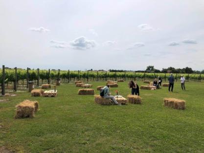 Dall'1 maggio "Vigneti Aperti" in Friuli Venezia Giulia