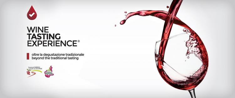 Le Wine Tasting Experience nelle Langhe