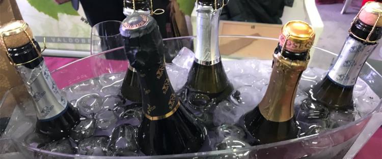 Bassano Wine Festival 2018