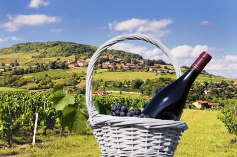 È tempo di Beaujolais Nouveau!