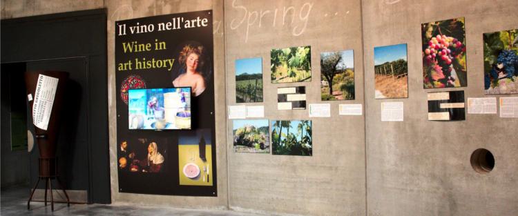 Bolgheri: alla scoperta del Museo del Vino di Guado al Melo