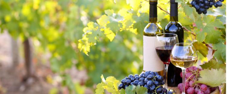 Cantine Aperte 2019 in Sicilia