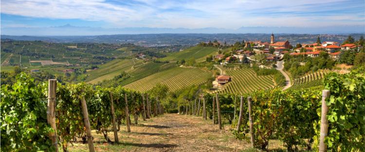 Cantine Aperte in Vendemmia 2018 in Campania