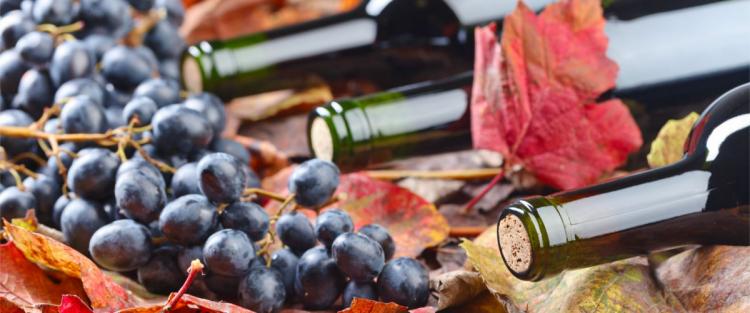 Cantine Aperte in Vendemmia 2019 in Umbria