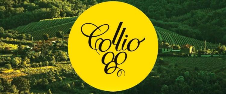 Colori e profumi del Collio al "Collio Day 2023"
