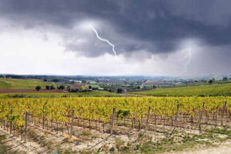 Come è stato il clima per l'annata 2016