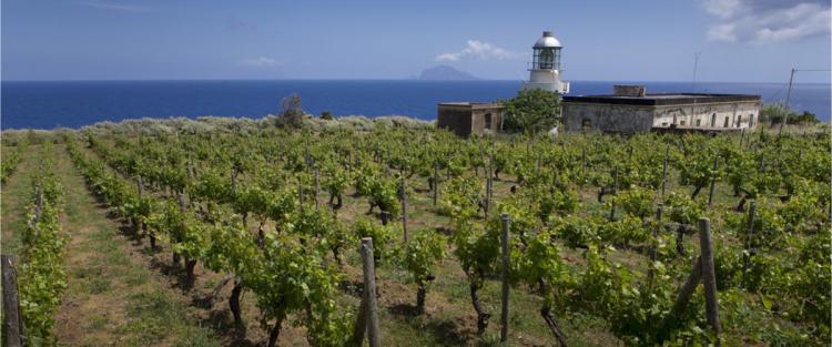 Conosci la Malvasia delle Lipari?