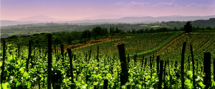 Cantine Aperte 2018 in Campania