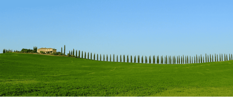 I vini lungo la Via Francigena: viaggio in Toscana