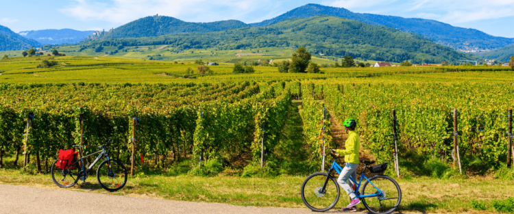 Quanti tipi di Franciacorta esistono?