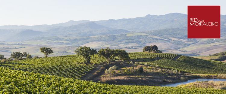 Nasce "Red Montalcino", l'evento dedicato al Rosso di Montalcino