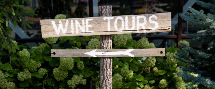 Enoturismo in Italia: attualità e prospettive