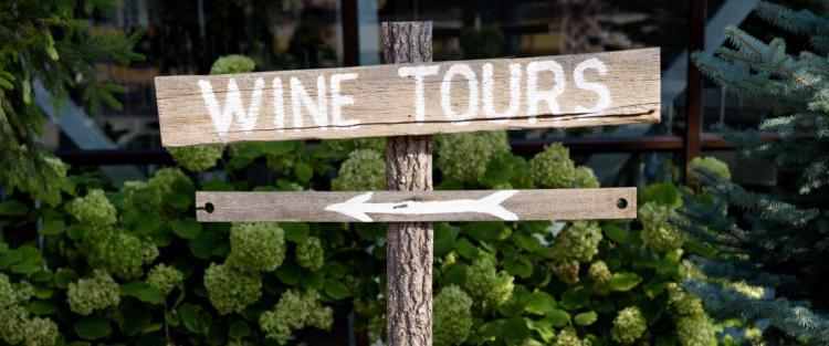 Conseguenze della pandemia sull'enoturismo