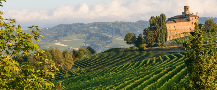 Le Langhe, terra dei grandi vini rossi d'Italia