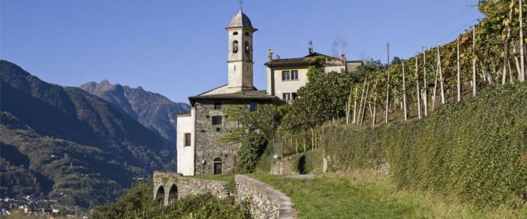La Strada del Vino della Valtellina