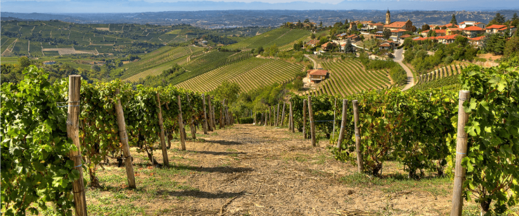 I vini lungo la Via Salaria e la Via Traiana: itinerario Abruzzo – Puglia
