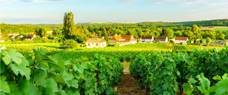 Champagne, regno delle bollicine