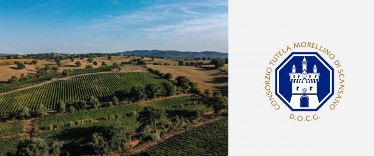 A Scansano nasce l'Enoteca Rosso Morellino