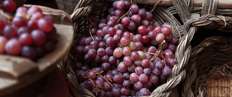 Un fervido augurio per i futuri destini dei nostri vini nel mondo
