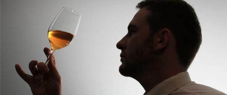 L'enologo e la sindrome dell'esploratore