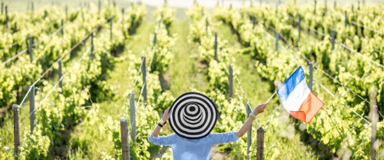 Francia: 1° paese europeo per il consumo di vino