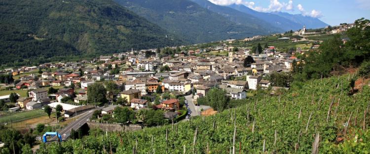 Grappolo d'Oro di Chiuro 2019
