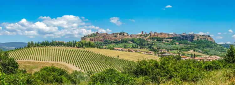 Il Grechetto nella viticoltura dell'Umbria