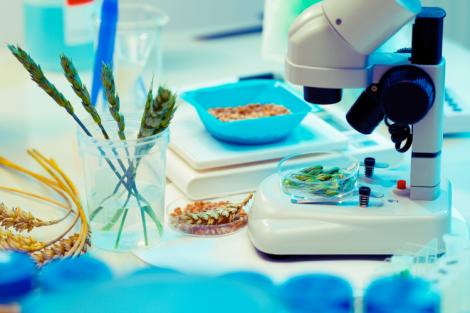 Il “nuovo” controllo ufficiale sugli alimenti