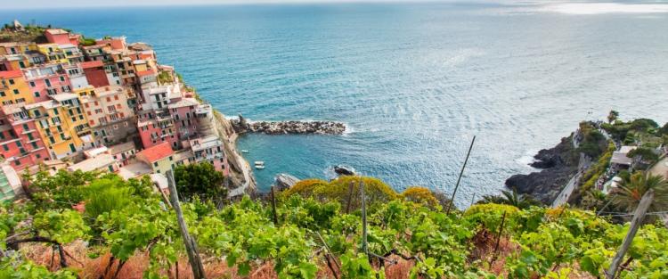Il vino in Liguria, dove l'uomo sfida la natura