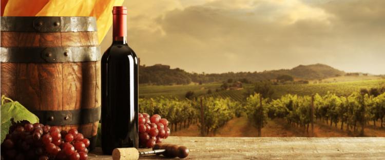 Come si certifica il vino sostenibile