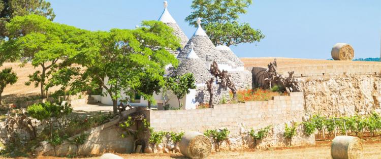 La geografia dei vini di Puglia