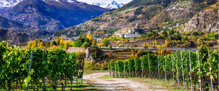 La Strada dei vini della Valle d'Aosta