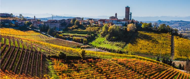 La Strada del Barolo