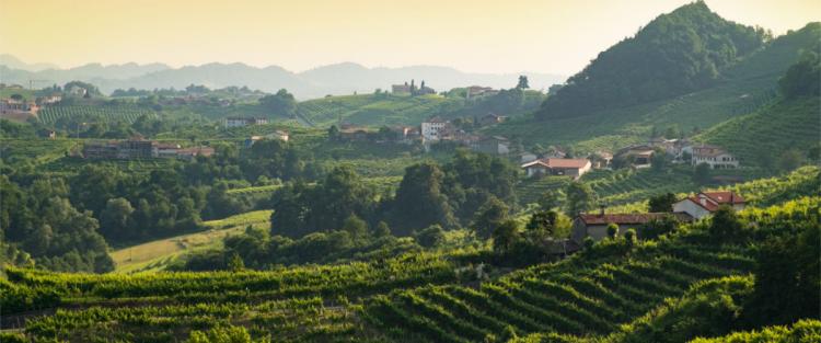 Le colline del Prosecco ora Patrimonio Unesco