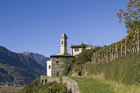 Il vino in Lombardia: qualità e accoglienza