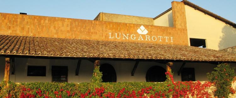 Lungarotti: Cantine Aperte a Natale tra vino, cultura e un laboratorio per i più piccoli