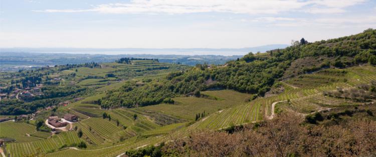 Lungo la Strada del Vino della Valpolicella